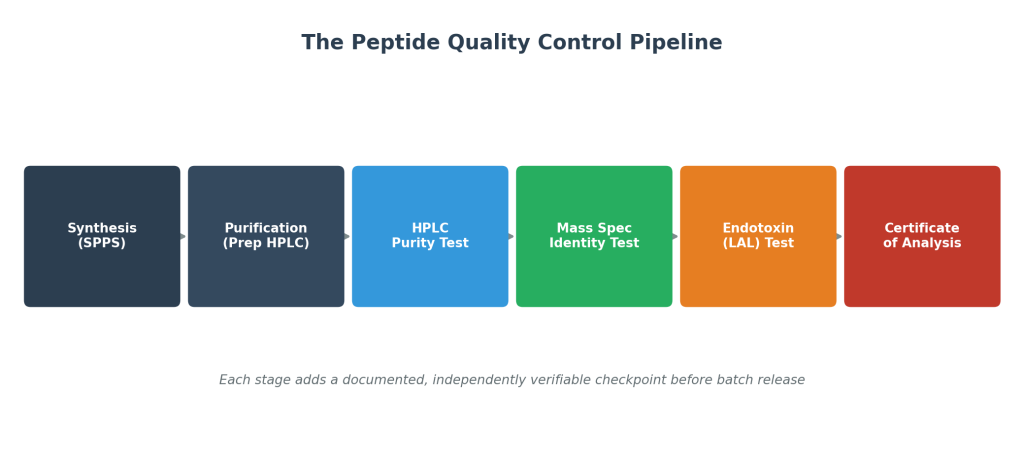 Diagram of the peptide purity testing control pipeline from synthesis through hplc, mass spectrometry, and endotoxin testing to a certificate of analysis