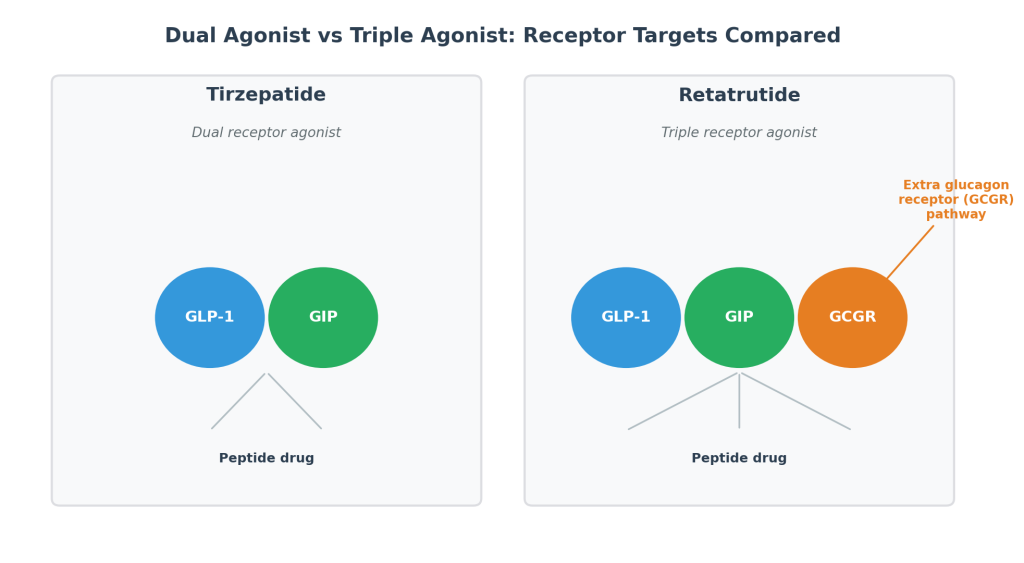 Diagram comparing tirzepatide's dual glp-1/gip receptor agonism with retatrutide's triple glp-1/gip/glucagon receptor agonism